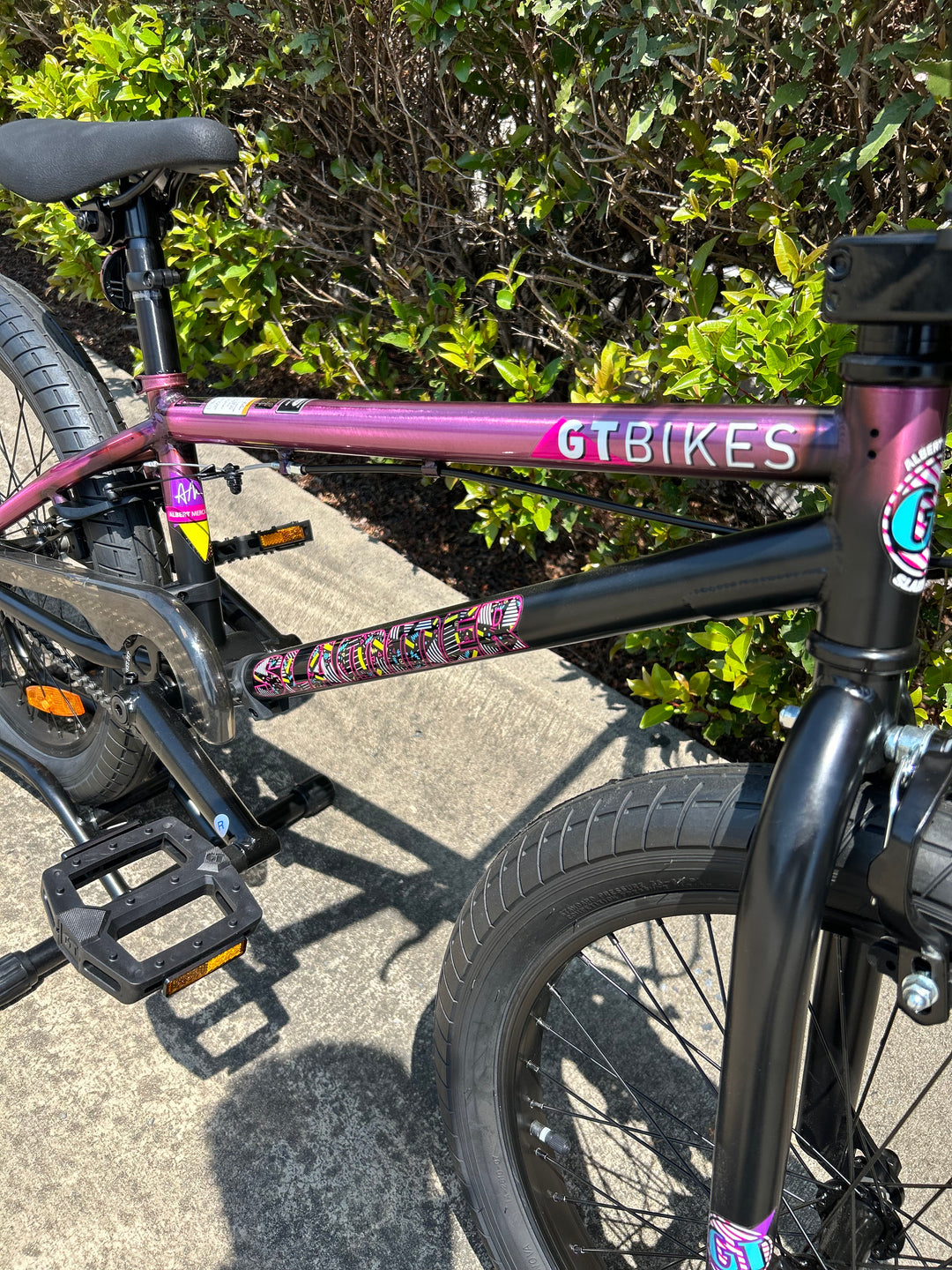 20" Slammer Mercado Gloss Trans Raspberry and Matte Black Fade w/ Multi Colors