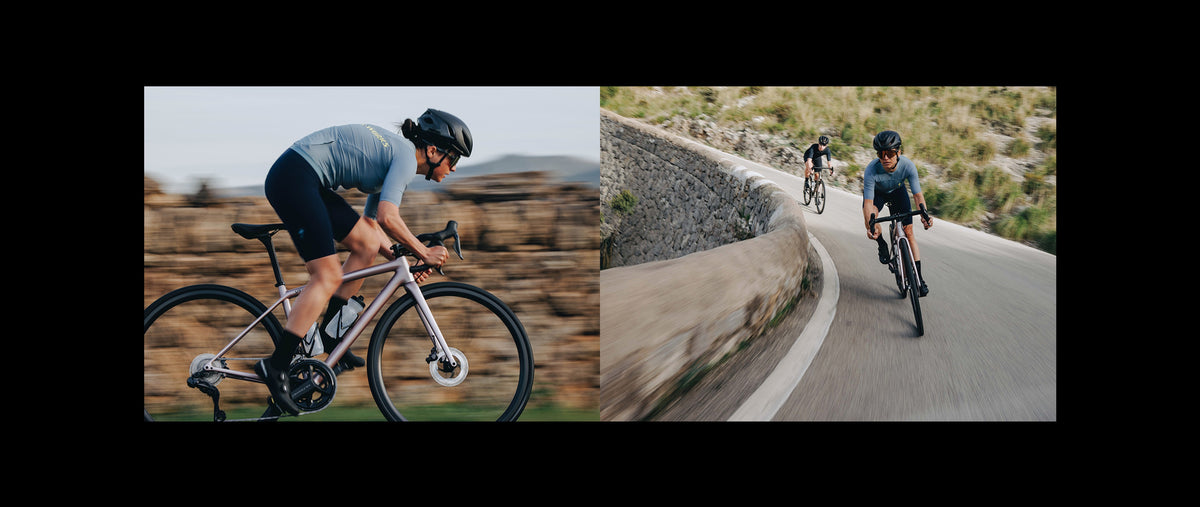 Specialized Speed Season Sale