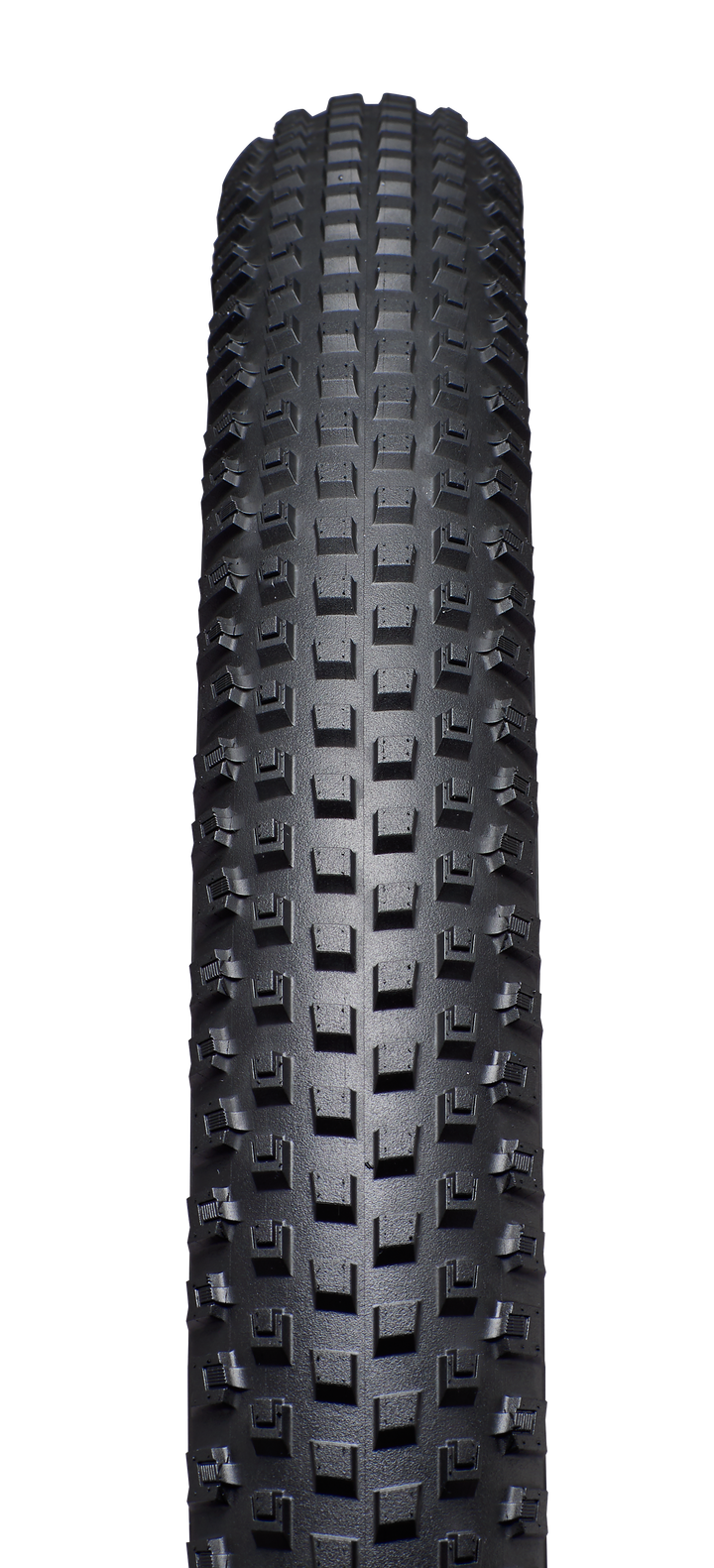 RENEGADE CONTROL 2BR T5 TIRE 29X2.35