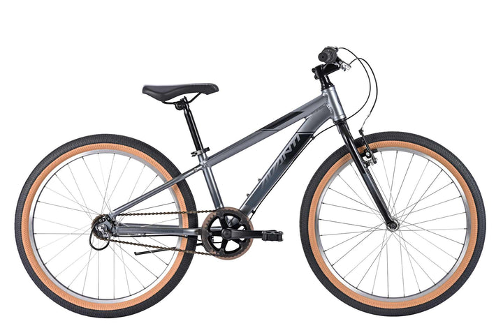 Avanti Shadow 24-I Metallic Gunmetal
