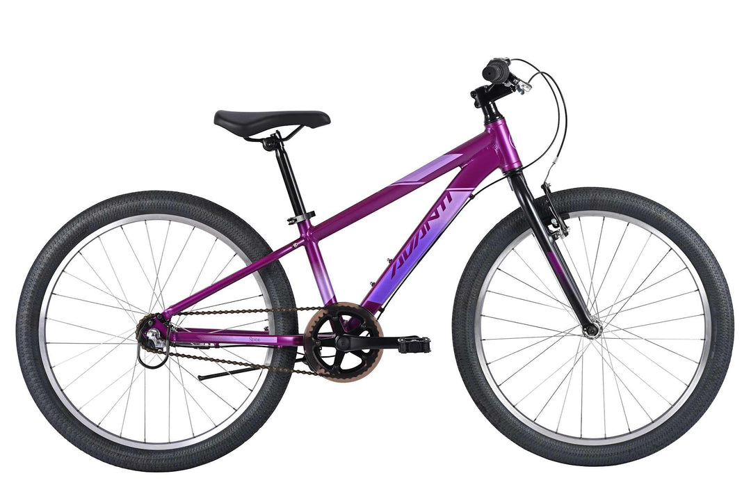 Avanti Spice 24-I Metallic Purple