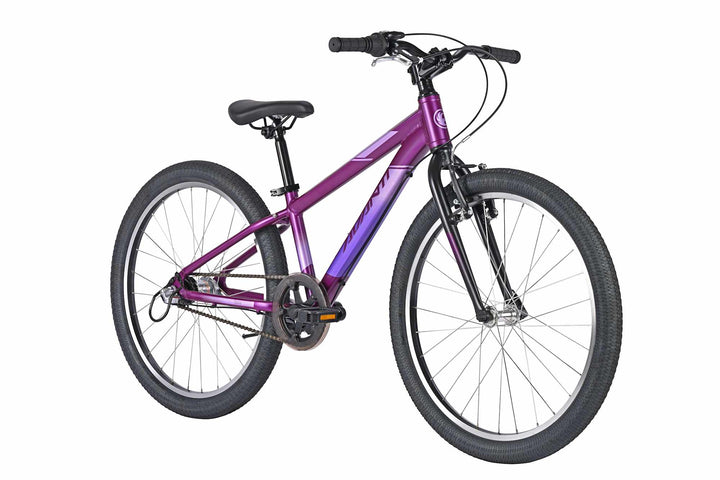 Avanti Spice 24-I Metallic Purple