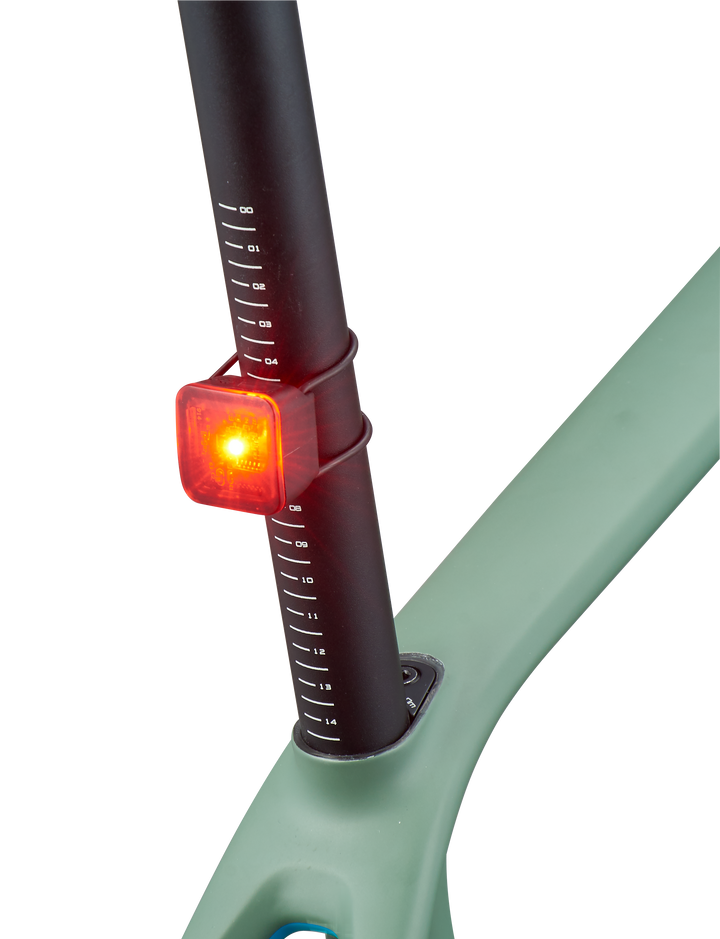 Flashback Taillight