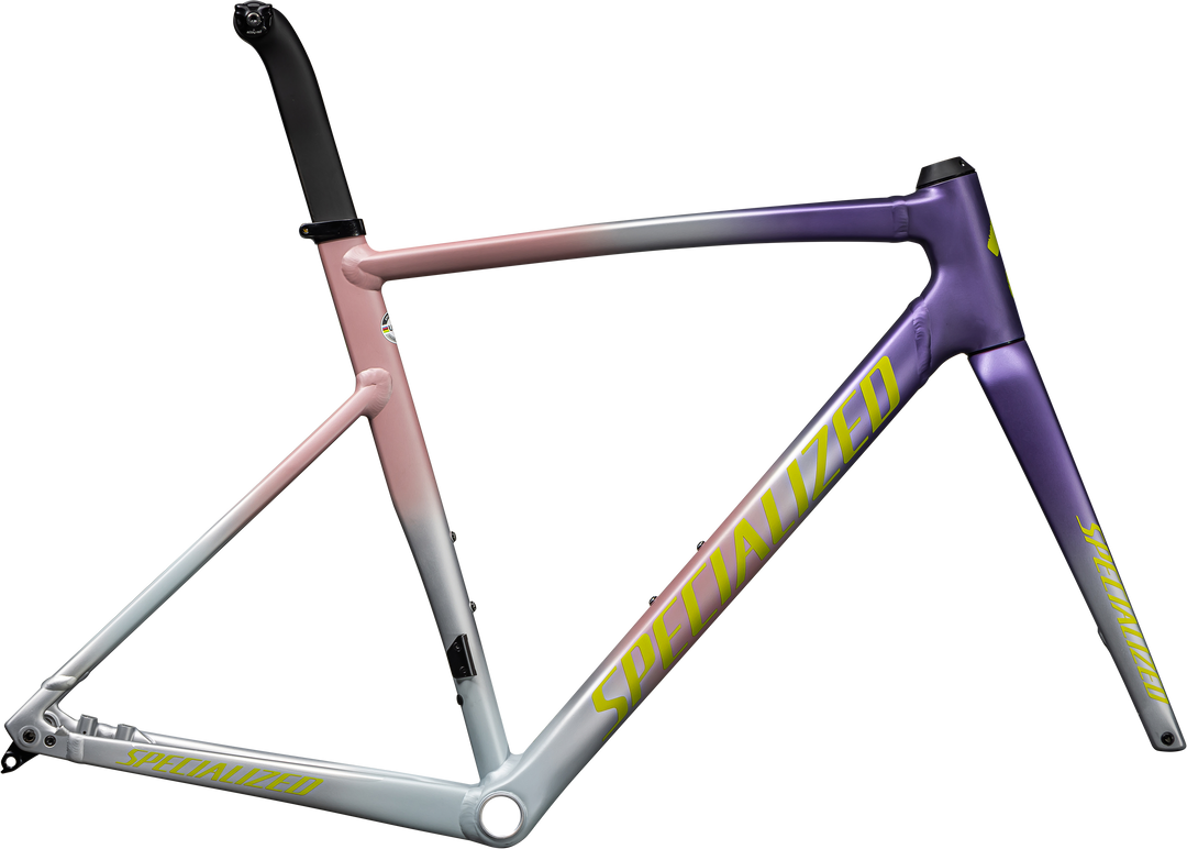 Allez Sprint Frameset Gloss Charcoal Tint Strata / Fog Tint 54