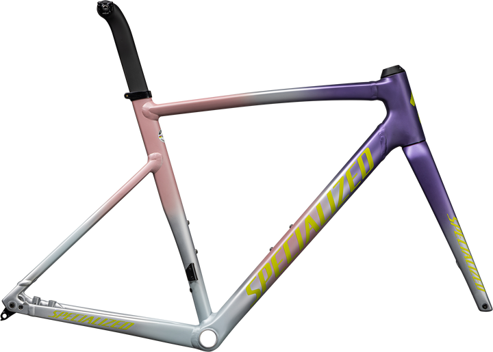 Allez Sprint Frameset Gloss Charcoal Tint Strata / Fog Tint 54