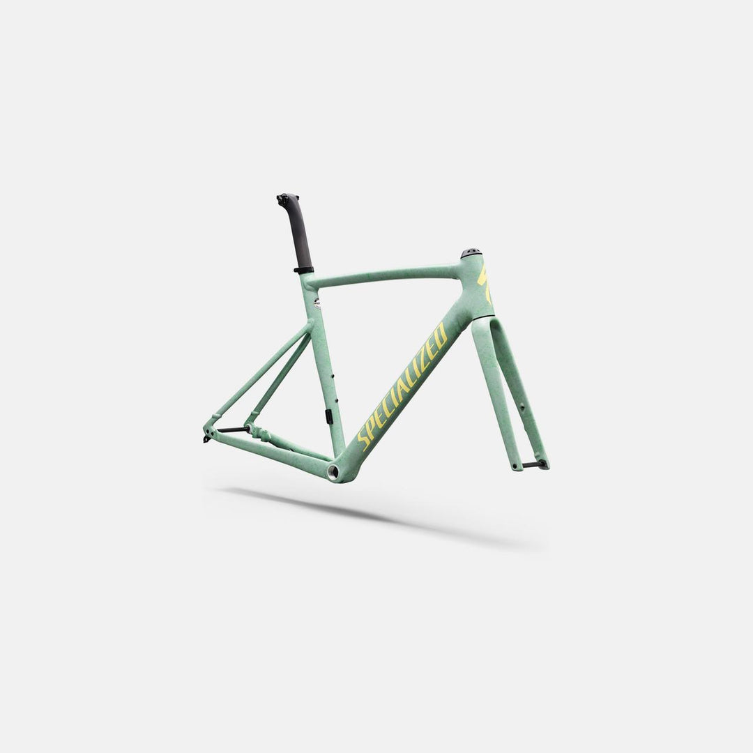 Allez Sprint Frameset - D'Aluisio Smartweld Alloy