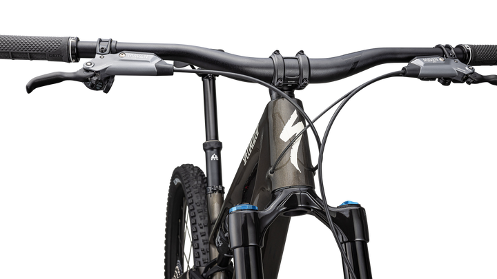 Stumpjumper 15 Expert  - SRAM GX AXS, FOX Performance Elite