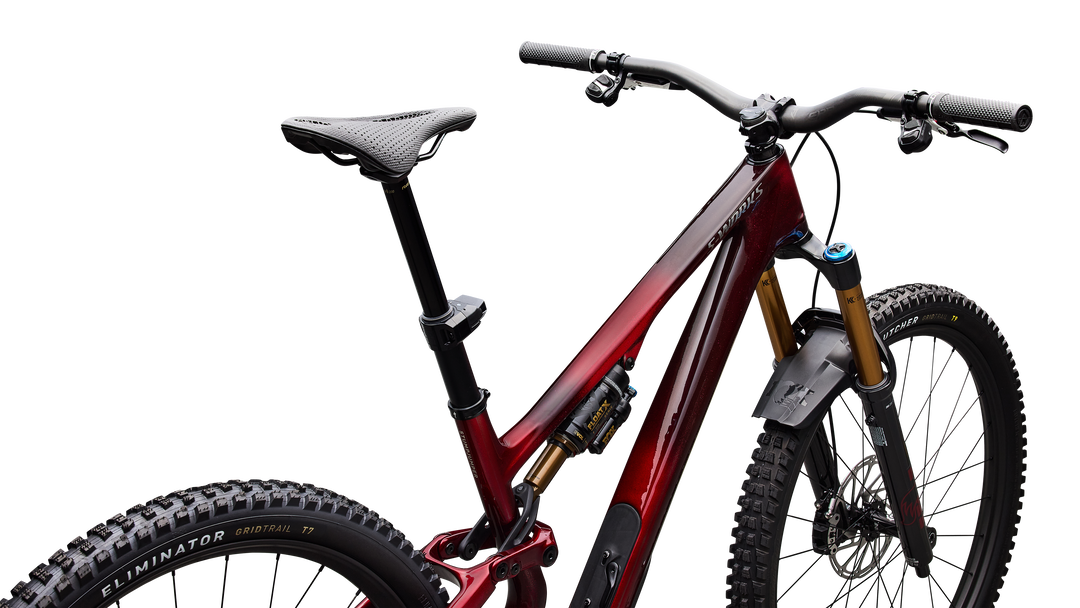 S-Works Stumpjumper 15 EVO