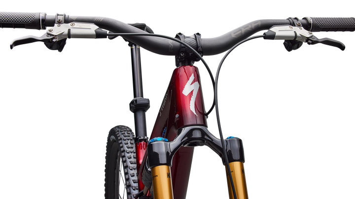 S-Works Stumpjumper 15 EVO