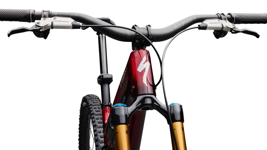 S-Works Stumpjumper 15 EVO
