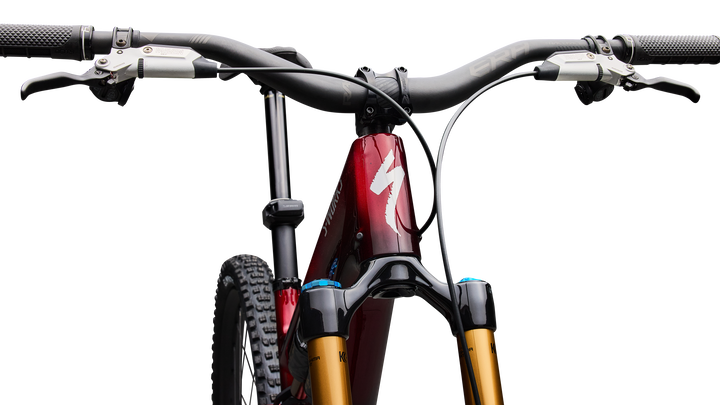 S-Works Stumpjumper 15 EVO