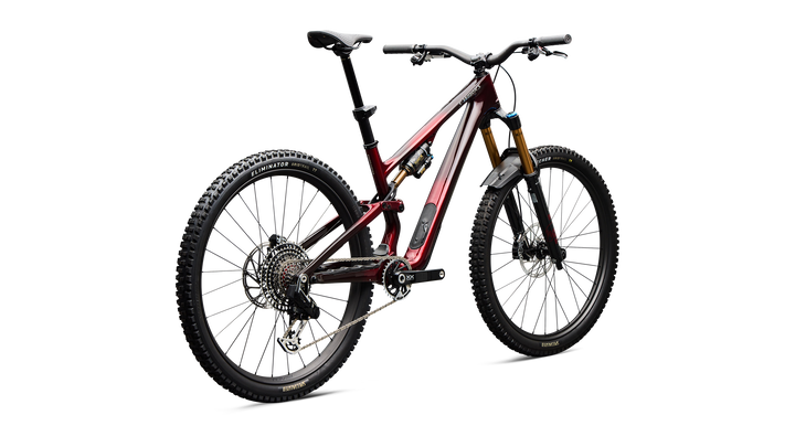 S-Works Stumpjumper 15 EVO