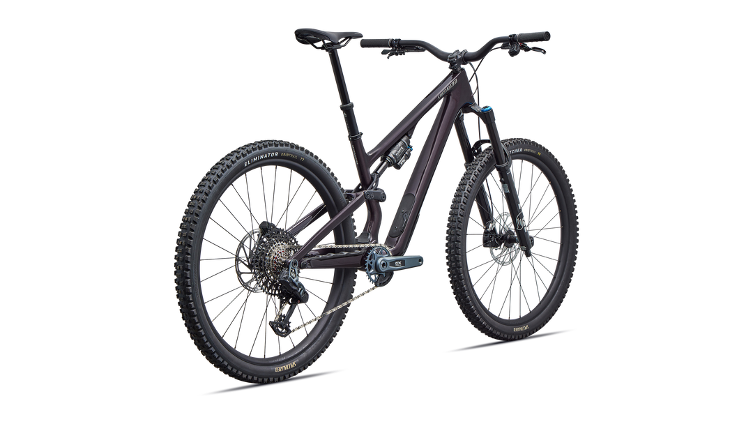 Stumpjumper 15 EVO Expert  - SRAM GX AXS, FOX Performance Elite
