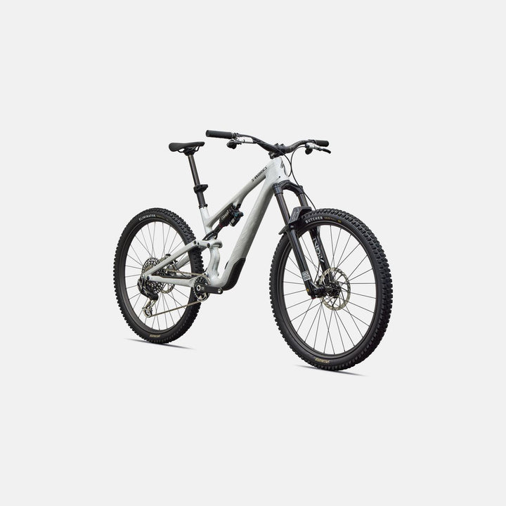 S-Works Stumpjumper 15 EVO