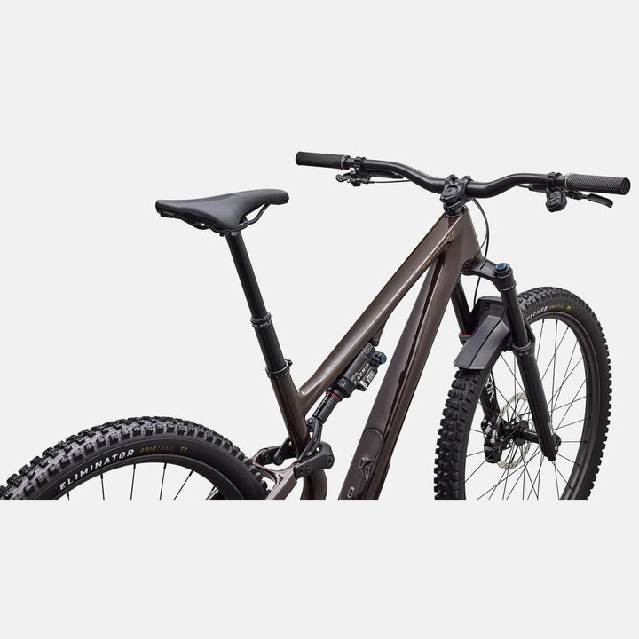 Stumpjumper 15 EVO Pro