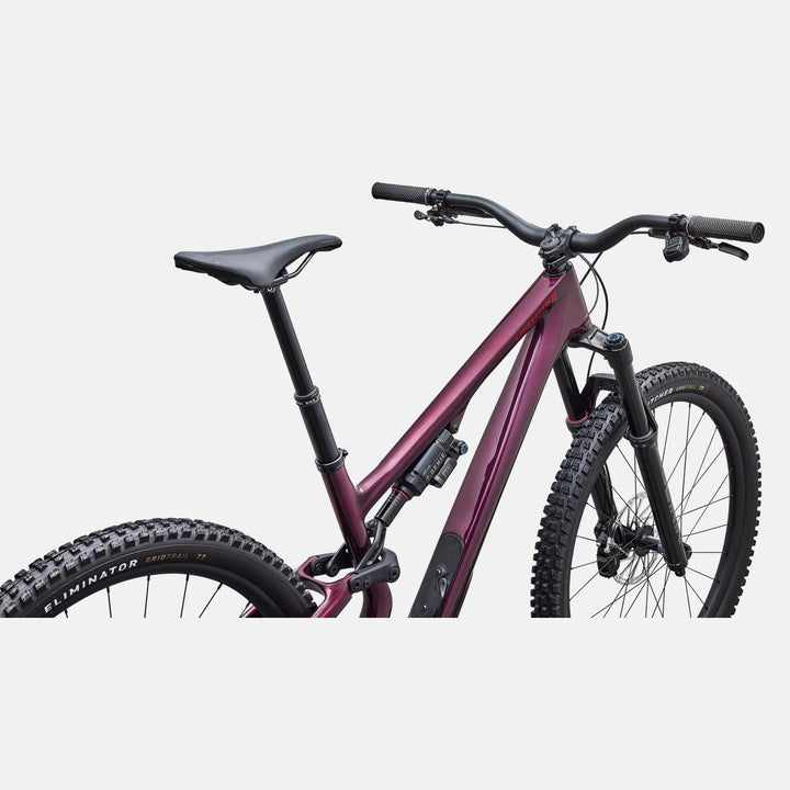 Stumpjumper 15 EVO Expert