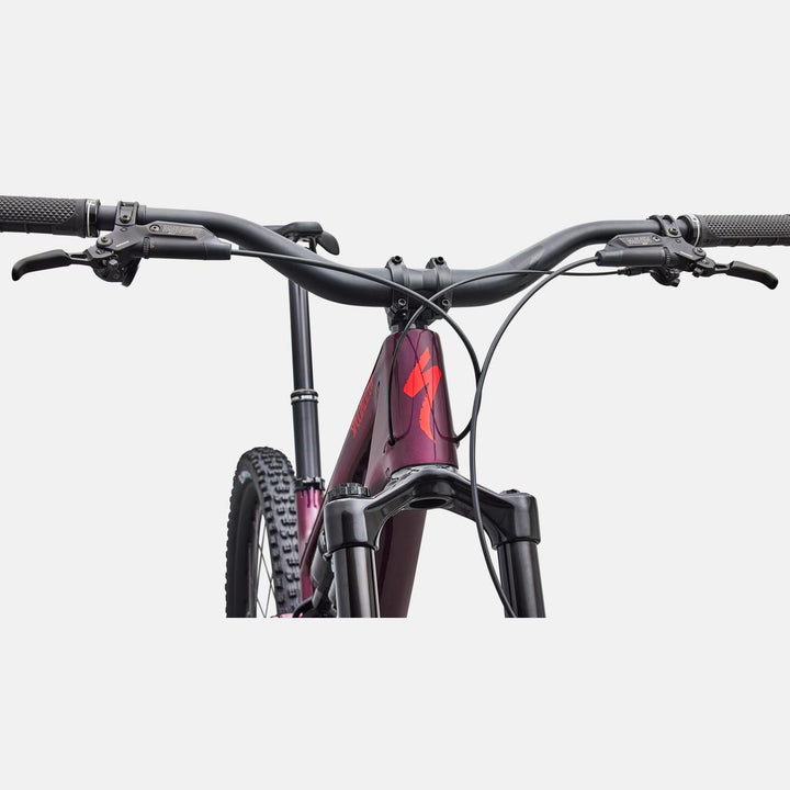 Stumpjumper 15 EVO Expert