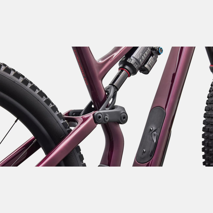 Stumpjumper 15 EVO Expert