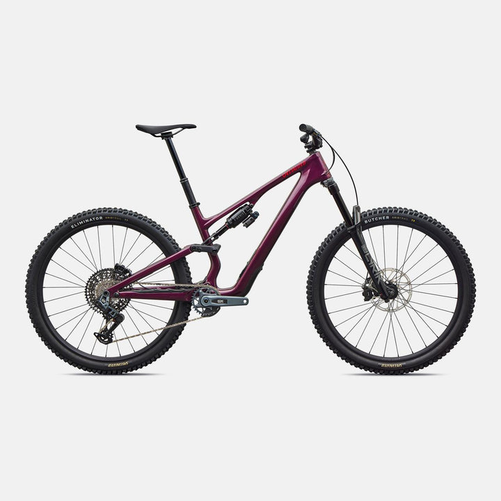 Stumpjumper 15 EVO Expert