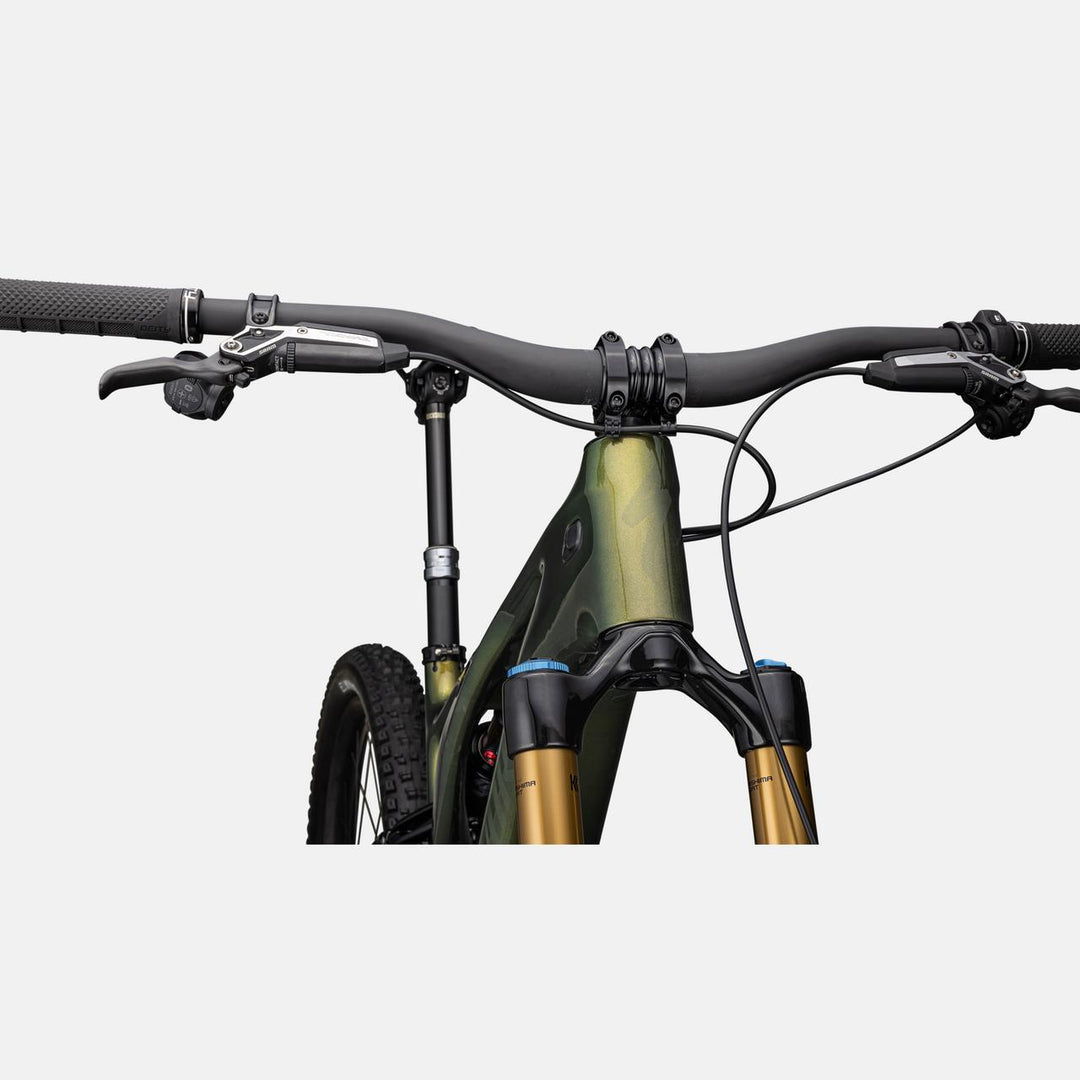 S-Works Turbo Levo 3 T-Type