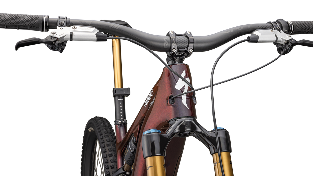 S-Works Turbo Levo 4