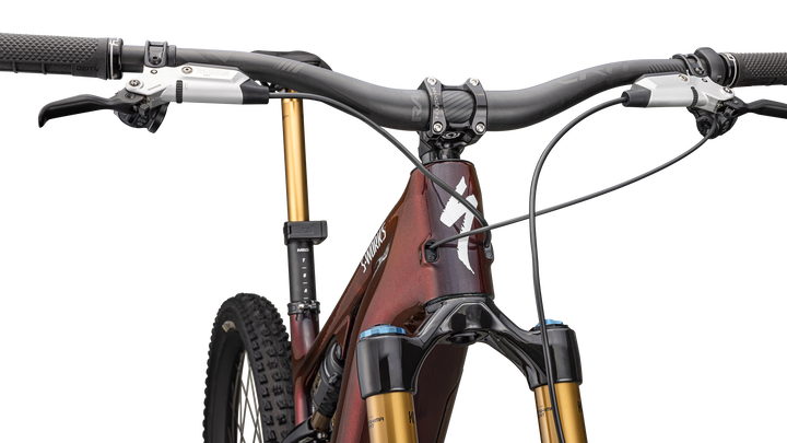 S-Works Turbo Levo 4