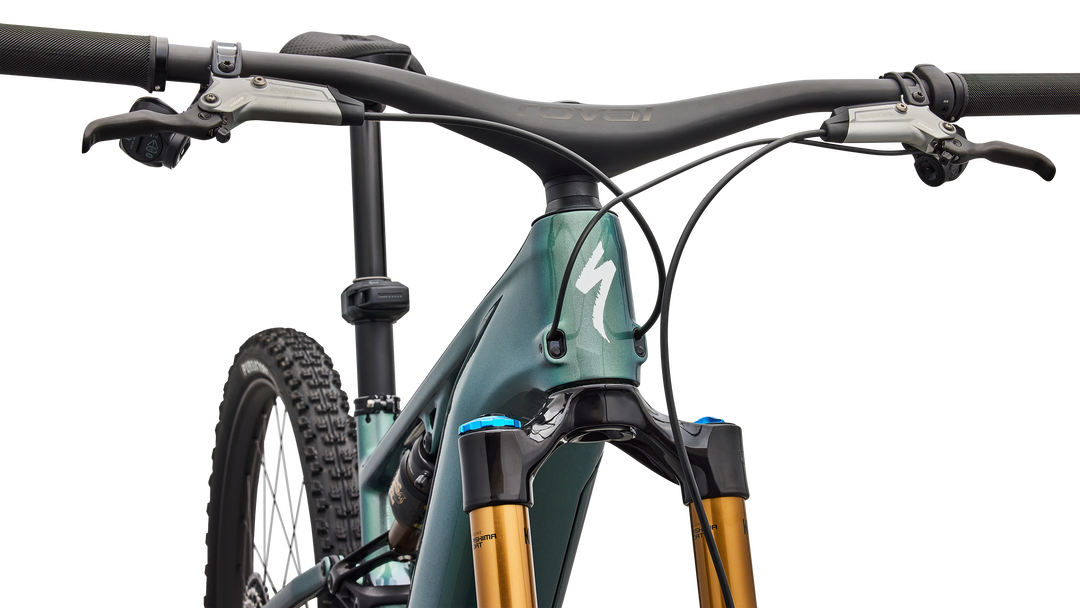 S-Works Turbo Levo R