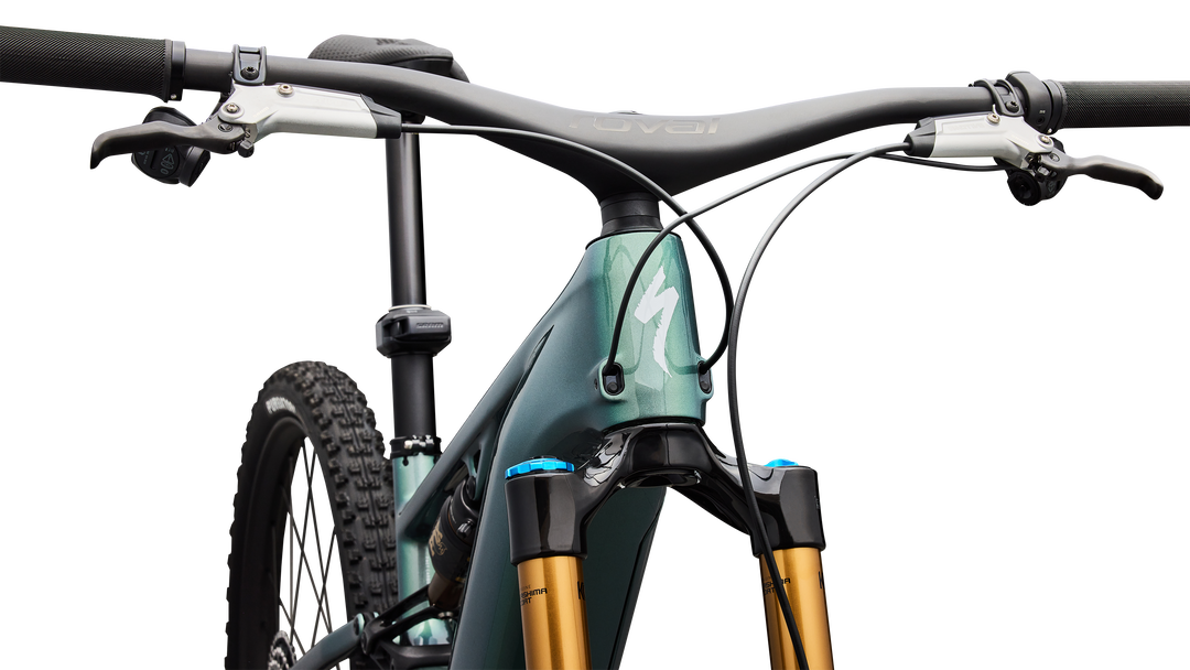 S-Works Turbo Levo R