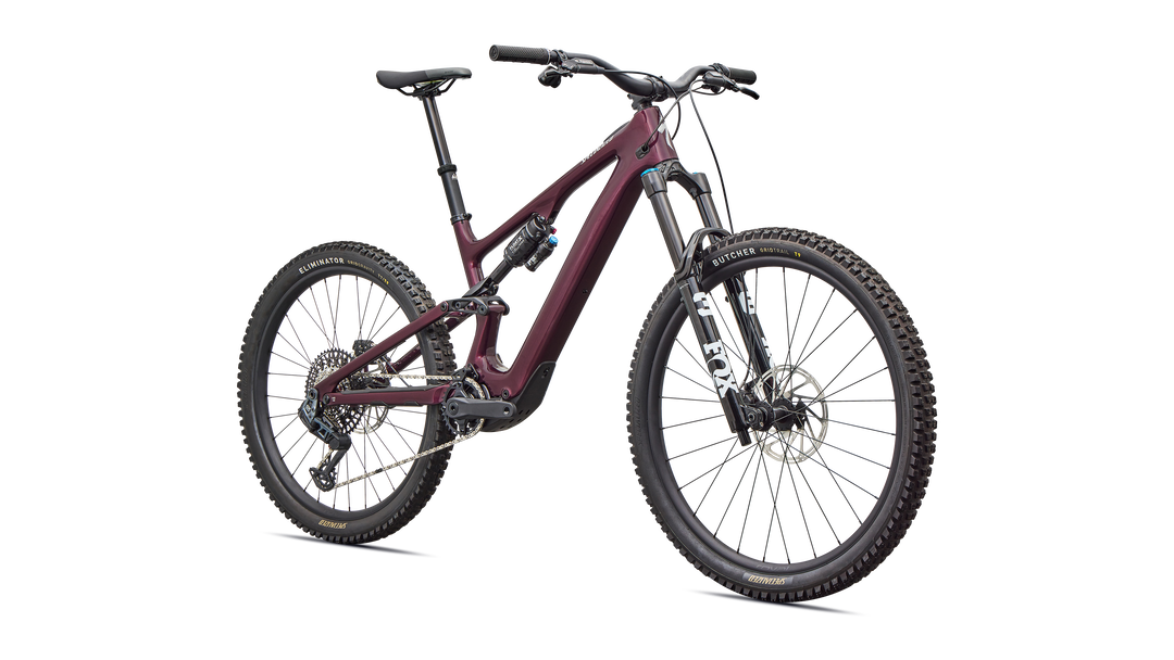 Turbo Levo SL 2 Expert