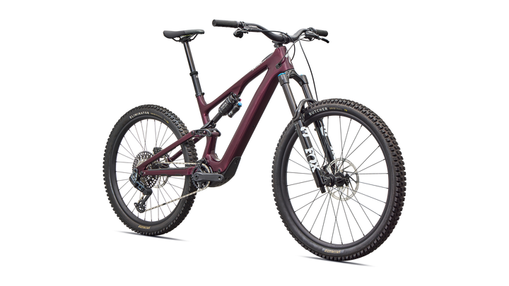 Turbo Levo SL 2 Expert