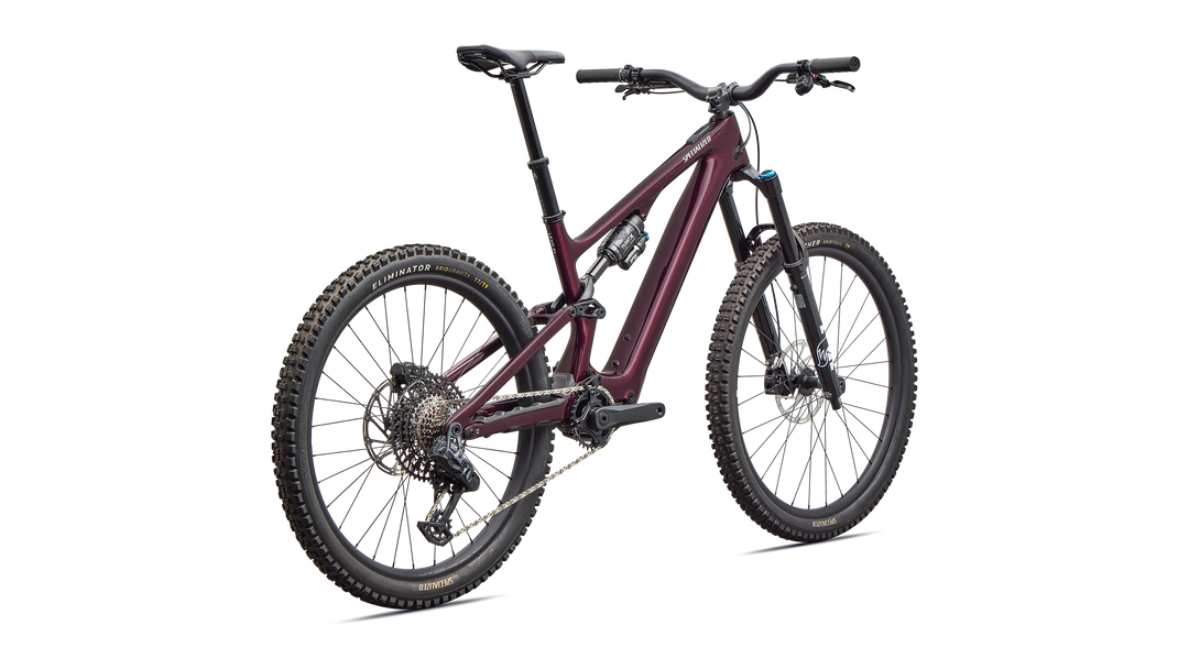 Turbo Levo SL 2 Expert