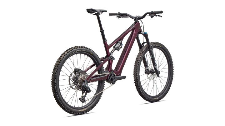 Turbo Levo SL 2 Expert