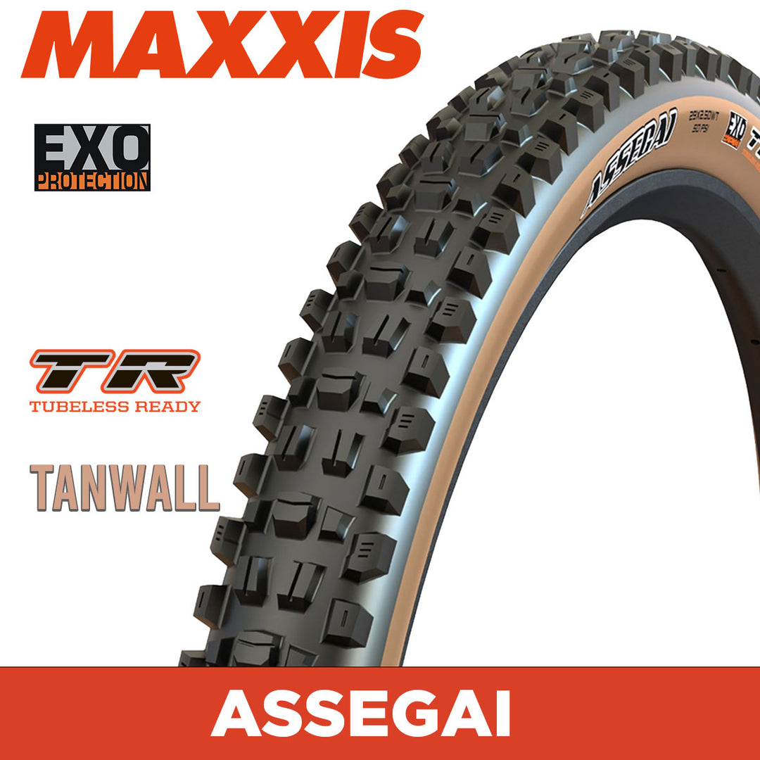 MAXXIS MOUNTAIN - ASSEGAI - 29X2.50 - EXO / TR / Tanwall - Foldable 60 TPI E25