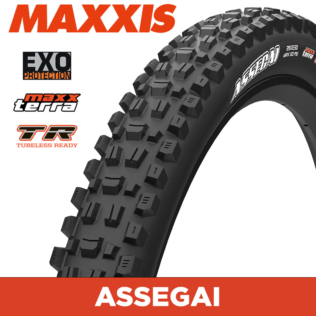 MAXXIS MOUNTAIN - ASSEGAI - 27.5X2.50 - MaxxTerra / EXO / TR - Foldable 60 TPI E25