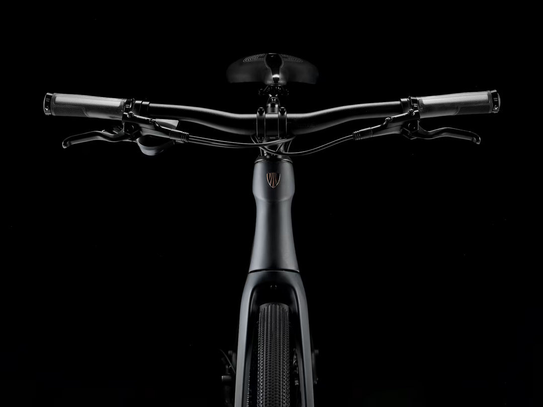 Trek FX SPORT SL 4 Stepover