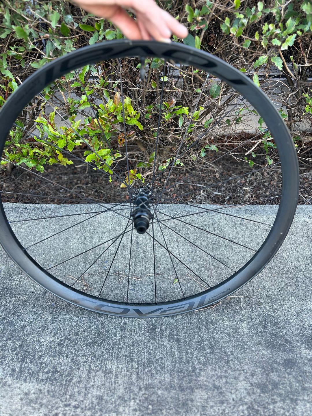 Roval Control SL 29 6B XD Wheelset - ExDemo