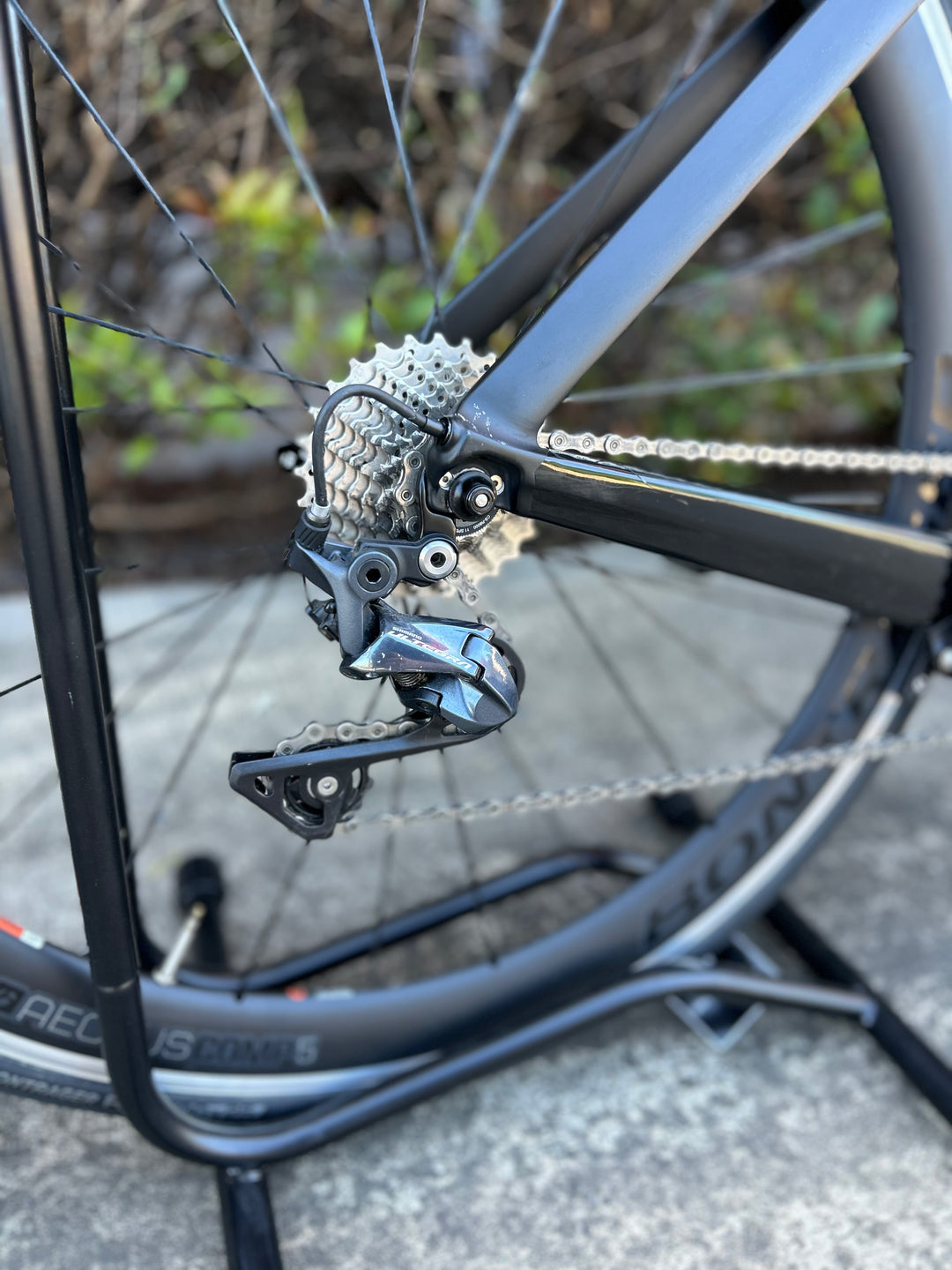 2021 Trek Speed Concept Large - Second Hand