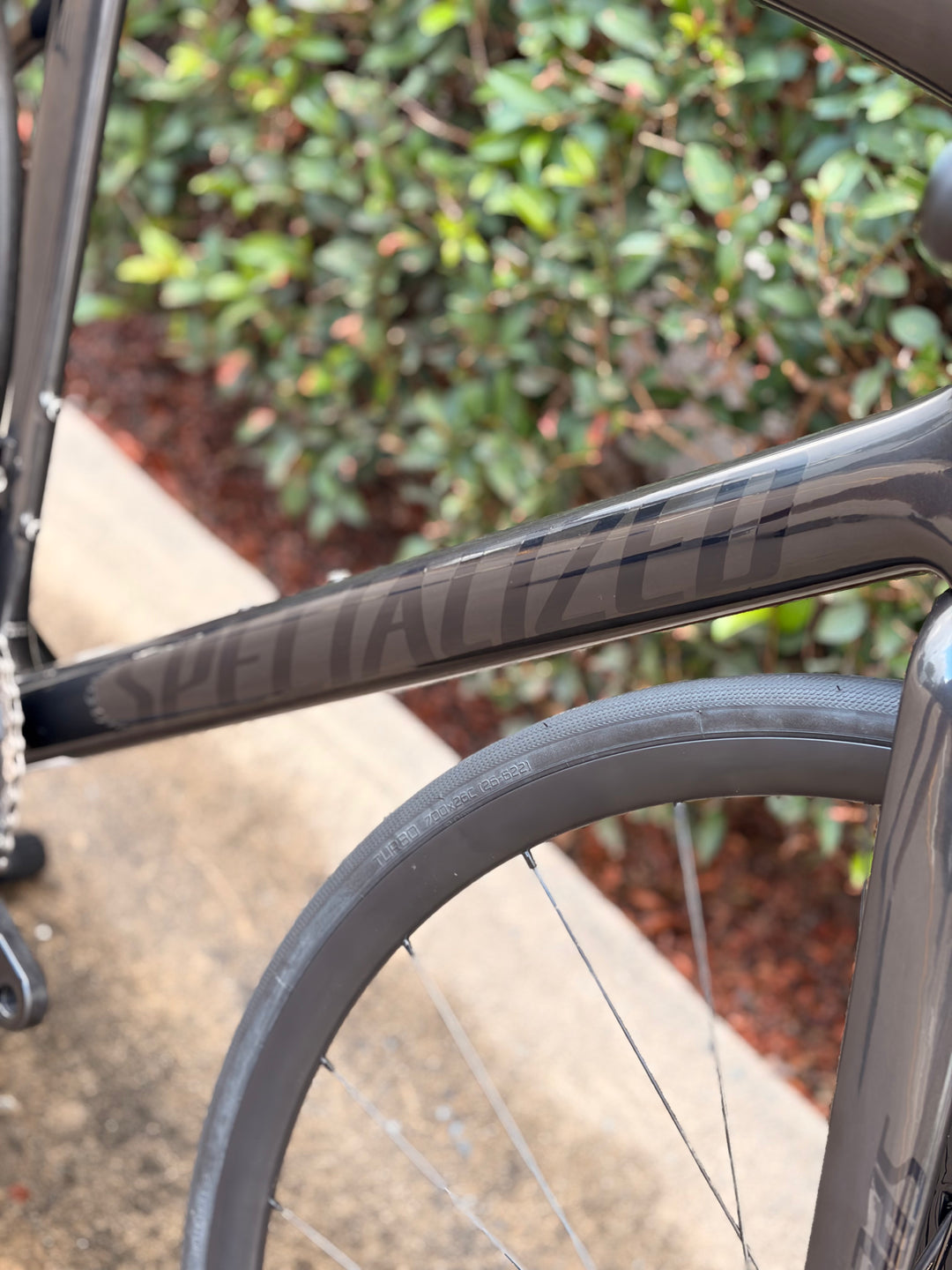 Tarmac SL7 Sport Gloss Carbon / Metallic Dark Navy