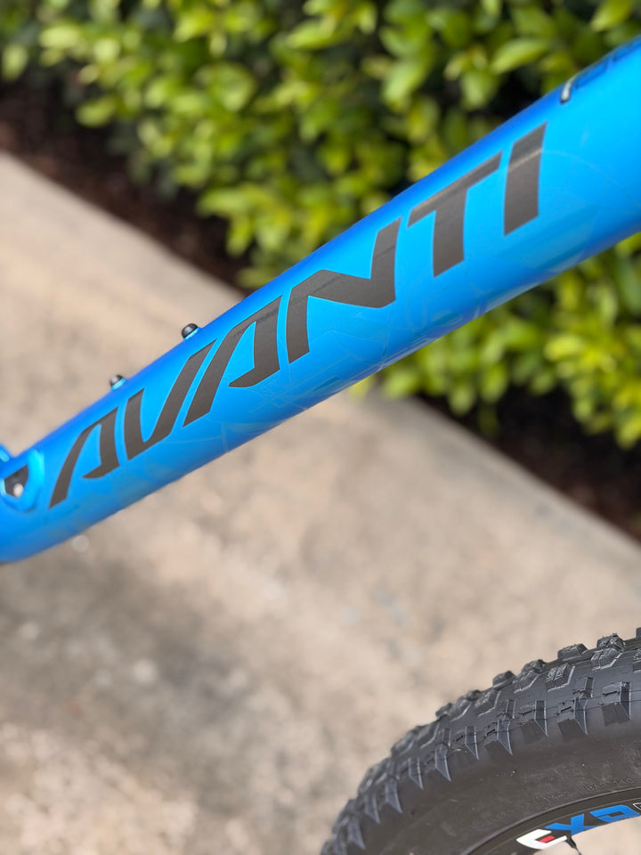 Avanti Bike Hammer S1 Blue