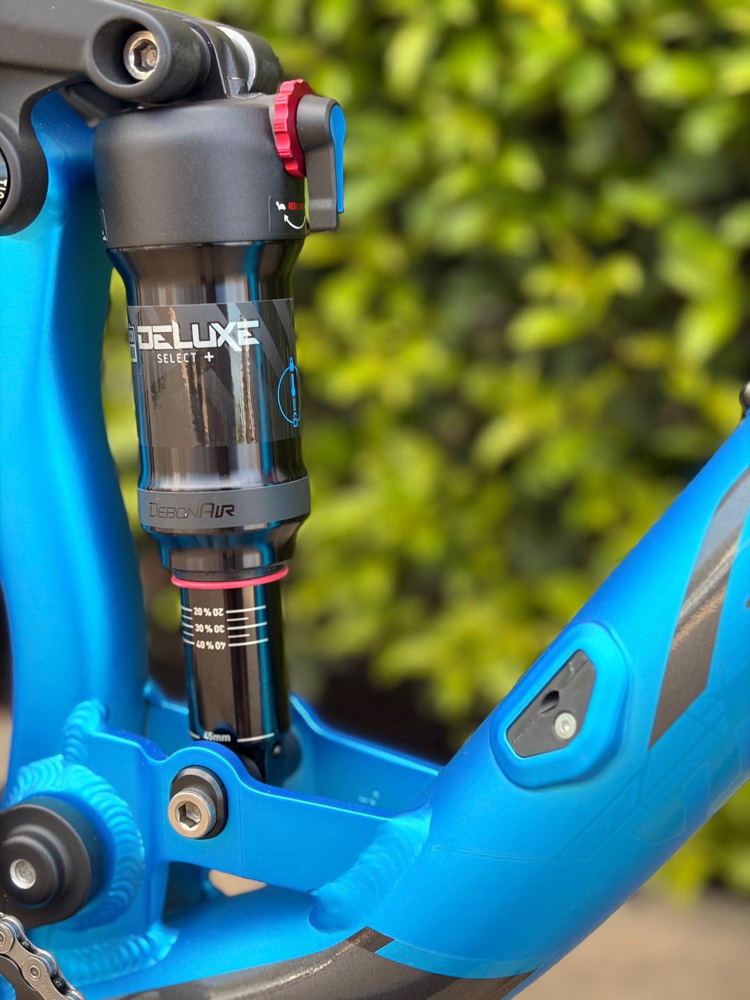 Avanti Bike Hammer S1 Blue