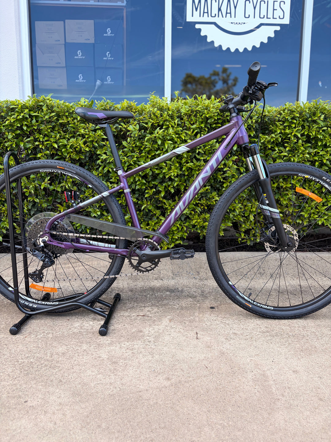 Bike X-Plorer MS 2W Purple