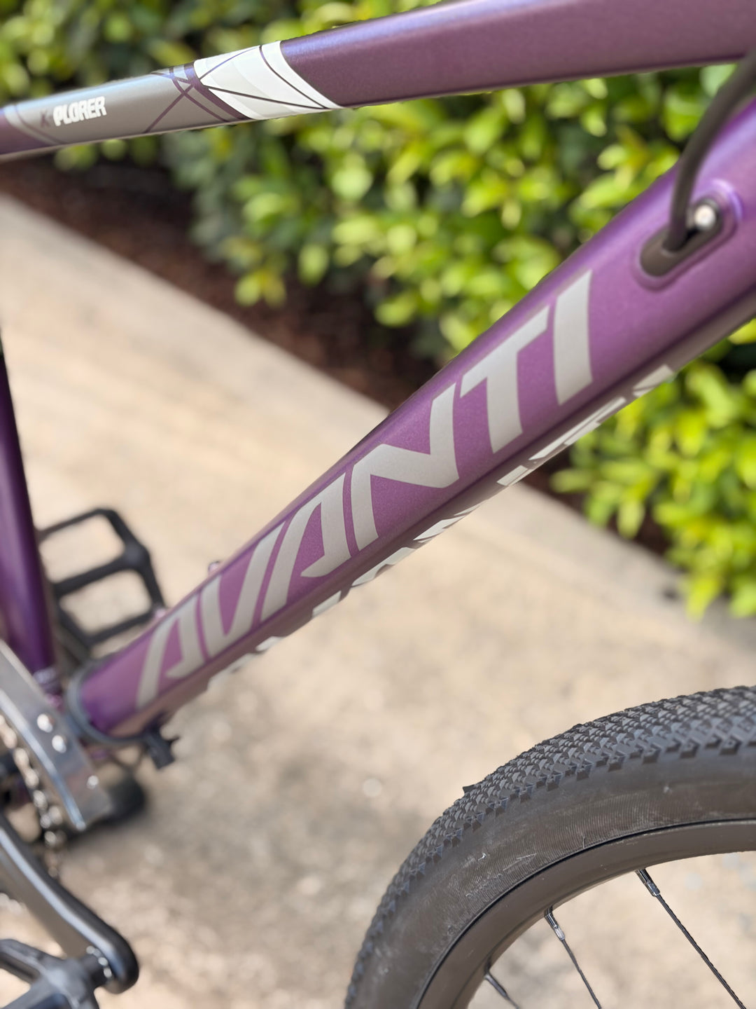 Bike X-Plorer MS 2W Purple