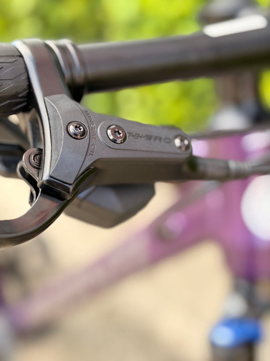 Bike X-Plorer MS 2W Purple