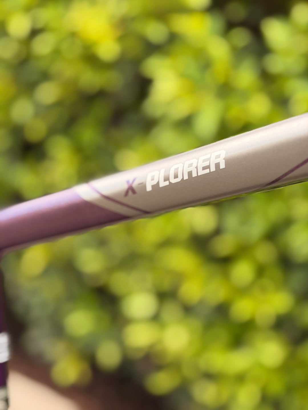 Bike X-Plorer MS 2W Purple