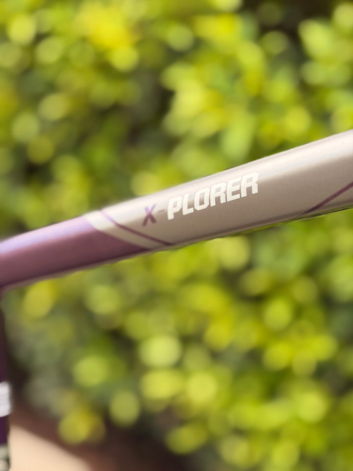 Bike X-Plorer MS 2W Purple