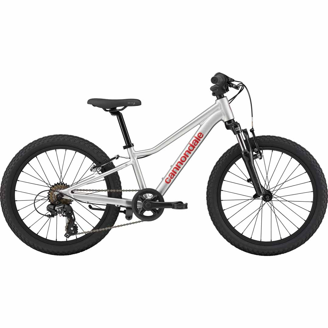 Cannondale Kids Trail 20 kids bike in Silver — Cannondale, at Mackay Cycles