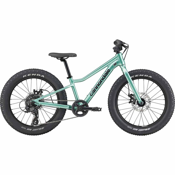Cannondale Kids Trail Plus 20 kids bike in Cactus Green — Cannondale, at Mackay Cycles