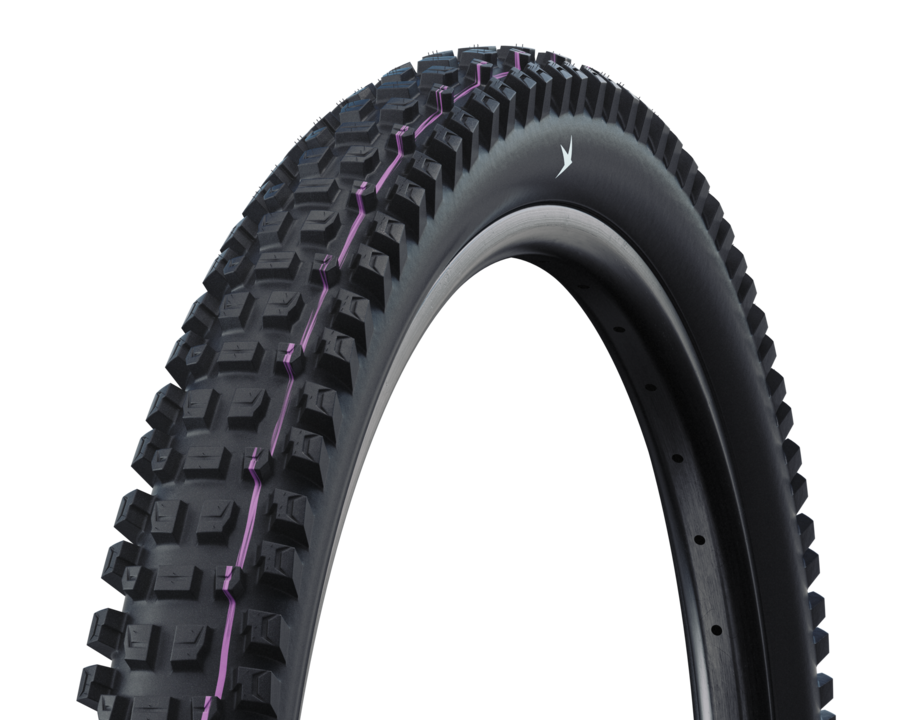 Schwalbe Albert Radial 29x2.50 Tyre - Gravity Pro, Addix Ultra Soft
