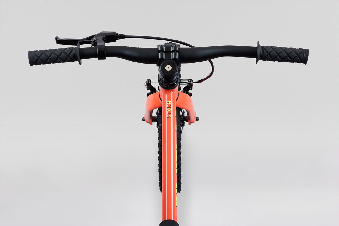 Norco Storm 16 Coaster - Peach — Pov View