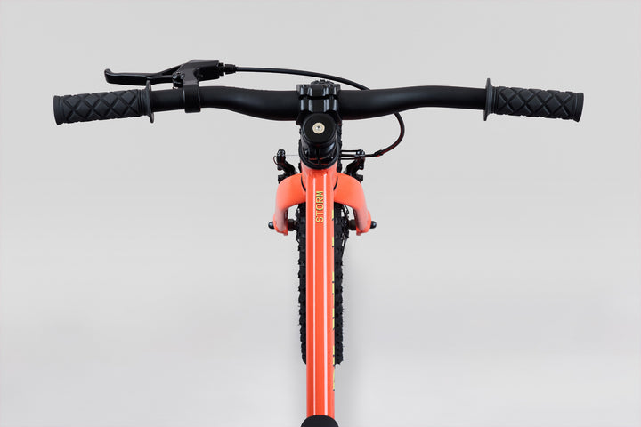 Norco Storm 16 Coaster - Peach — Pov View
